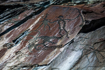 Petroglyph Tomsk pisanitsa. Rock paintings from Kemerovo region, Russia