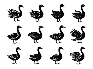 Collection of Duck and Goose Silhouettes vector set