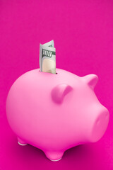 One hundred dollar bill in pink piggy bank with copy space. Close-up photo pink pig moneybox with dollars in it. Savings for retirement and personal finance concepts.