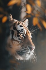 Regal Tiger: A tiger prowling through natural habitat, its orange and black stripes blending perfectly with the sunlight and shadows.