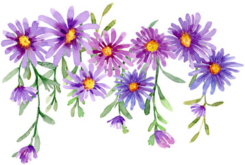 Purple daisy flower border frame watercolor floral illustration hand painted