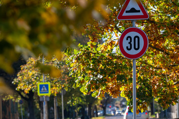 Fototapeta premium Road signs indicate bumps ahead and a speed limit of 30 near vibrant autumn foliage.