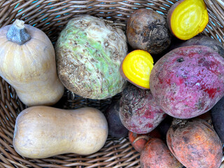 Organic vegetables, swede, yellow beetroot, beetroots, squash