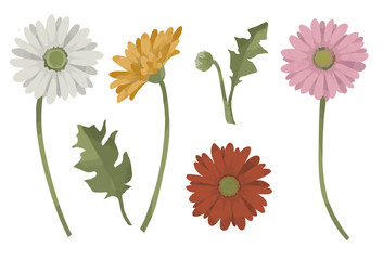 ガーベラのイラスト素材