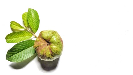 Crystal guava fruit on white background
