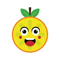 orange fruit character vector illustration. illustration orange isolated on white backgrounds