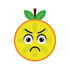 orange fruit character vector illustration. illustration orange isolated on white backgrounds
