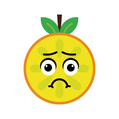 orange fruit character vector illustration. illustration orange isolated on white backgrounds