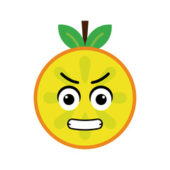 orange fruit character vector illustration. illustration orange isolated on white backgrounds