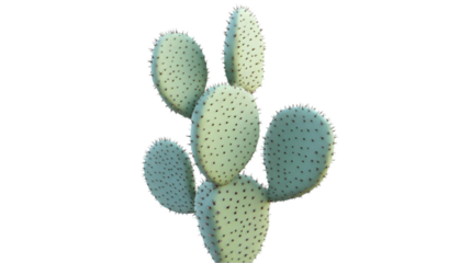 prickly pear cactus png