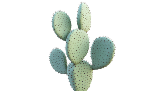 prickly pear cactus png