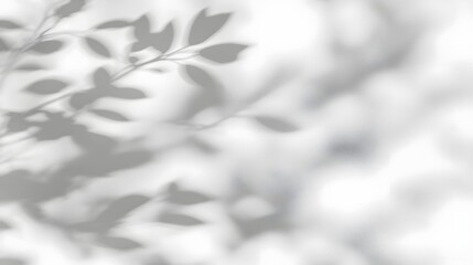 Obraz premium Captivating abstract shadow play of tree leaves cast upon a soft textured white wall creating a serene and harmonious atmosphere with organic shapes and natural beauty