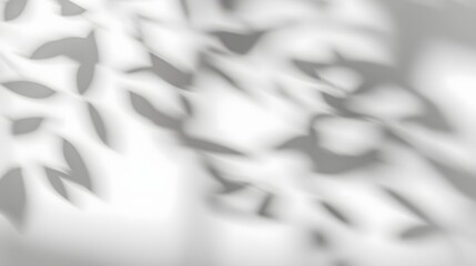 Fototapeta premium Soft and dreamy tree leaves shadow overlaying a plain white wall background with subtle light transitions evoking a tranquil and timeless mood