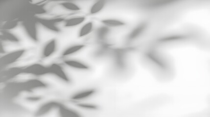 Stylish abstract tree leaf shadows gently falling and cascading on a bright white wall background creating a natural elegant and serene atmosphere for aesthetic visual designs decor and presentations
