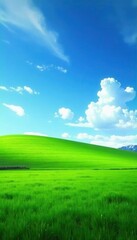 Obraz premium Vast green field stretches to a brilliant blue sky, nature, background
