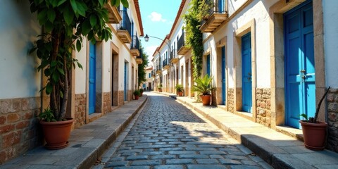 Obraz premium Sun-drenched cobblestone street with vibrant blue doors and lush greenery in charming residential area