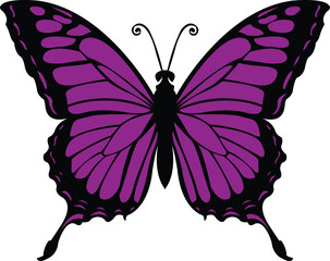 butterfly illustration - Purple Swallowtail Butterfly illustration