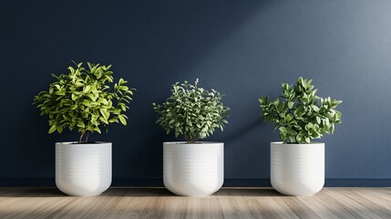 Fototapeta premium Three potted plants against a dark blue wall