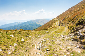 dirt road in carpathian mountains. alpine environment. krasna ridge in summer. wonderful view on a sunny day