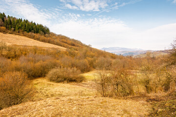Fototapeta premium countryside scenery in march. outdoor adventure. cloudy weather. forested carpathian mountain landscape in early spring. pikui peak of watershed ridge in the distance. beautiful view