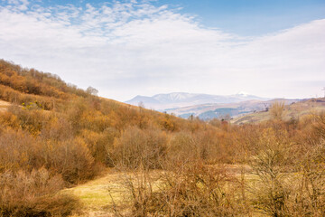 Fototapeta premium countryside scenery in march. natural environment. cloudy weather. forested carpathian mountain landscape in early spring. pikui peak of watershed ridge in the distance. season change