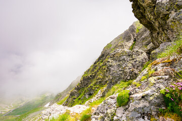 steep slope of fagaras ridge. high altitude. mountain landscape of romania in summer. distant valley in clouds. stunning country ecosystem
