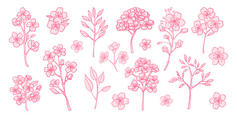 A collection of pink flowers and leaves. The flowers are drawn in a variety of styles and sizes, with some appearing to be more delicate and others more bold. Scene is one of beauty and tranquility