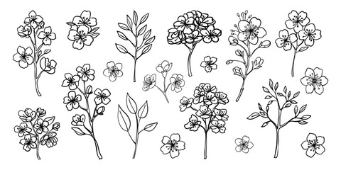 Fototapeta premium A collection of black and white drawings of flowers. The drawings are of various types of flowers, including roses, daisies, and lilies