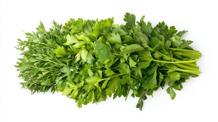 Obraz premium Fresh Green Herbs Including Parsley and Cilantro on White Background