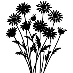 set of flowers isolated