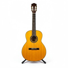 Fototapeta premium guitar