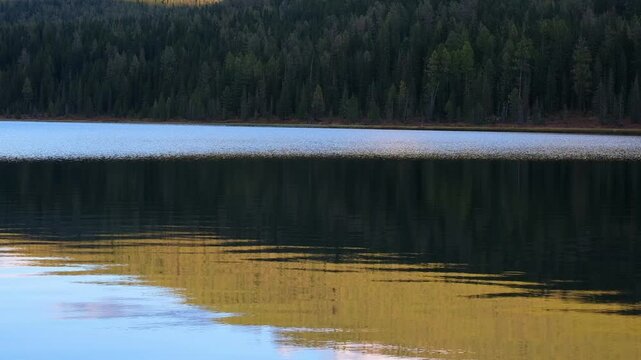 The forest and mountains are beautifully reflected in the calm water of the lake in autumn. Nature of Eastern Kazakhstan in Altai, Lake Yazevoye in Katon Karagay Park