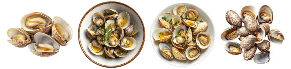 Set of steamed clams isolated on transparent background