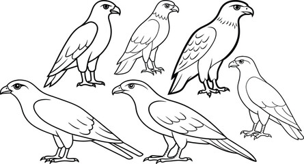 line art Cooper hawk animal silhouette vector art