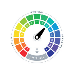 round ph scale. circular ph ruler. ph dial on white background