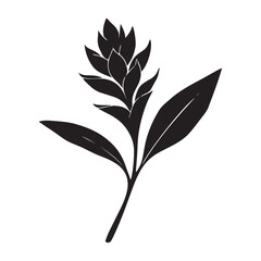 Single Ginger Flower Silhouette Vector Illustration