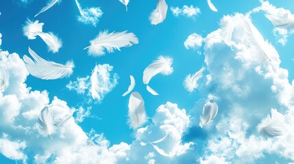 Peaceful sky scene with fluffy white clouds and delicate feathers floating gently against a bright blue backdrop.