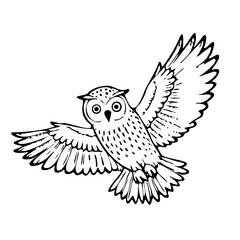 cute owl illustration for coloring books