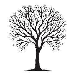 Obraz premium Simple Bare Tree Silhouette Vector Illustration
