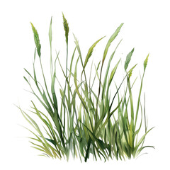 Naklejka premium Vibrant Watercolor Depiction of Lush Green Grass in Natural Setting Showcasing Various Textures and Shades