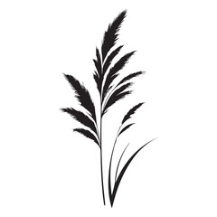 Obraz premium Ornamental Grass Silhouette Vector Illustration