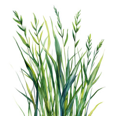 Naklejka premium Lush Green Grass Swaying Gently in a Soft Breeze on a Sunny Day in a Tranquil Outdoor Setting