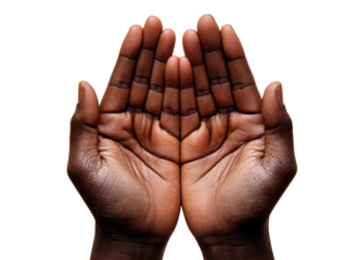 African American hands in a prayer gesture, isolated on transparent cutout background