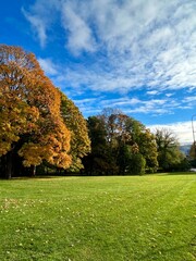 autumn landscape with trees in park
