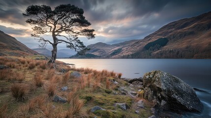 Fototapeta premium Serene Late Evening Landscape with Lone Tree and Reflective Lake Under Dramatic Clouds