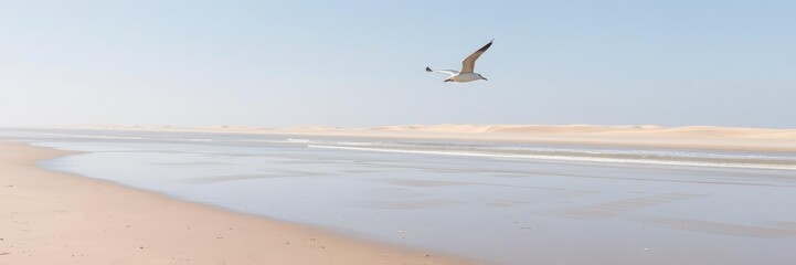 Naklejka premium Seagull flying over the vast expanse of a deserted beach, tranquil ocean, empty beach landscape, soaring seagull