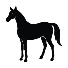 A simple standing horse silhouette with minimal details, vector art