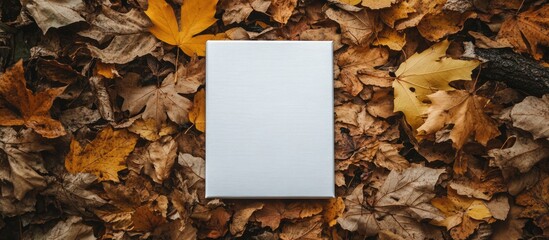 Blank canvas surrounded by autumn leaves in a serene forest setting ideal for creative projects and nature-themed promotions