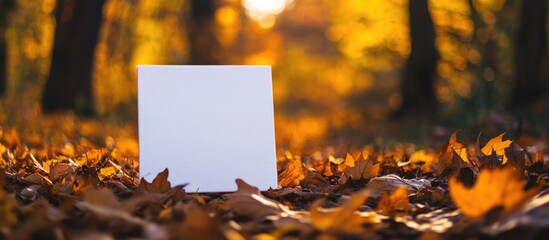 Blank canvas surrounded by autumn leaves in a tranquil forest setting ideal for creative nature concepts and customizable text space