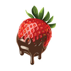 vector strawberry with chocolate on white background